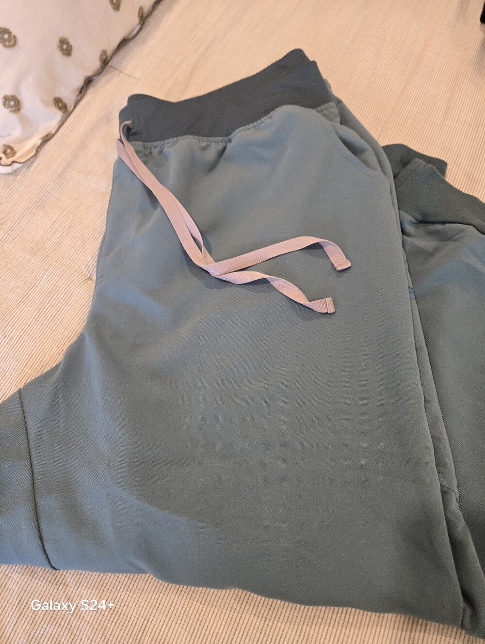 Figs HYDROGREEN